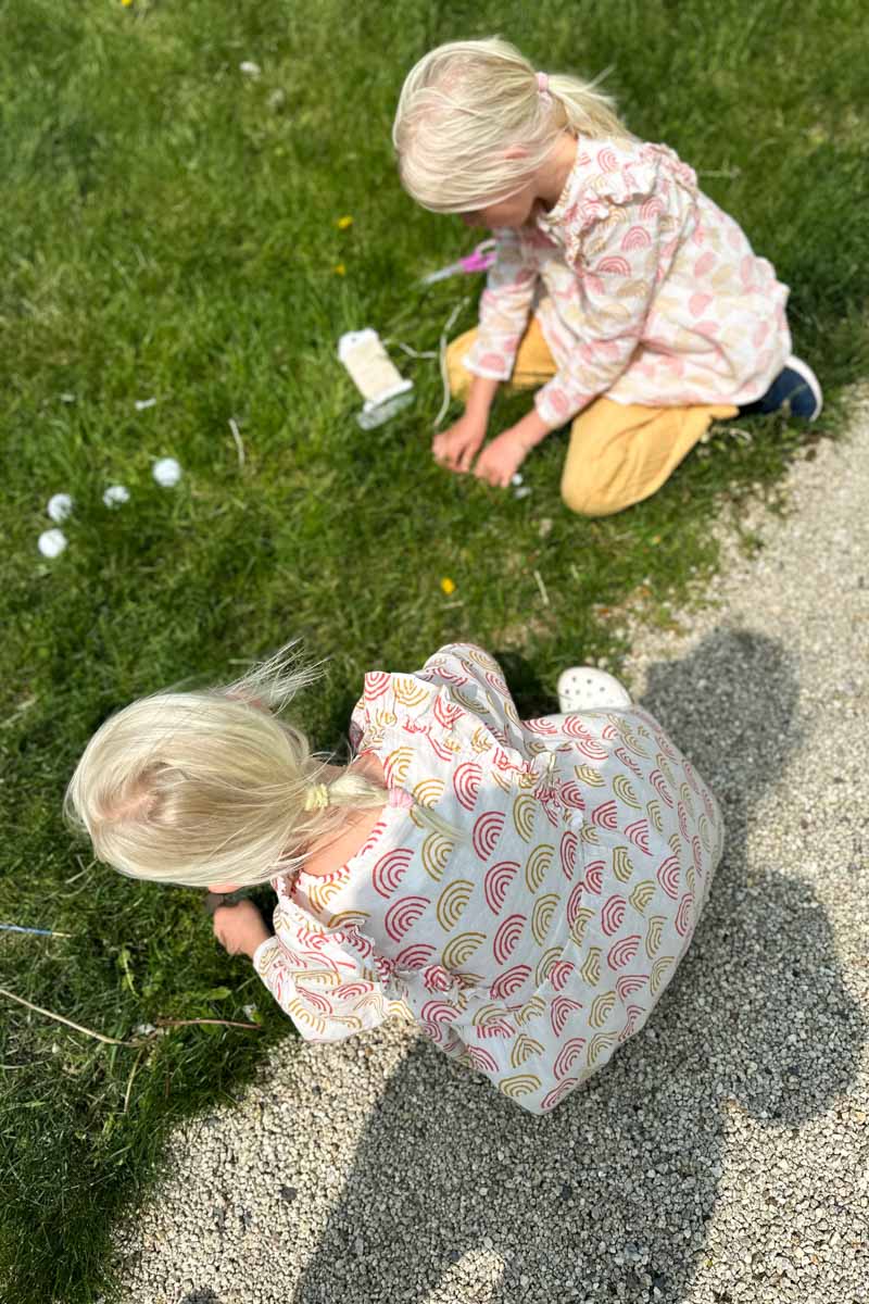 Little Fry Little Dress - Family Rainbow Organic