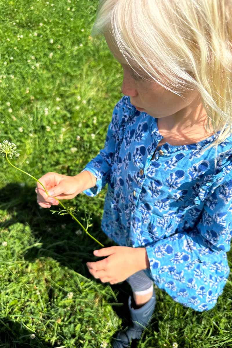 Little Fry Little Dress - Little Marigolds Danube Organic